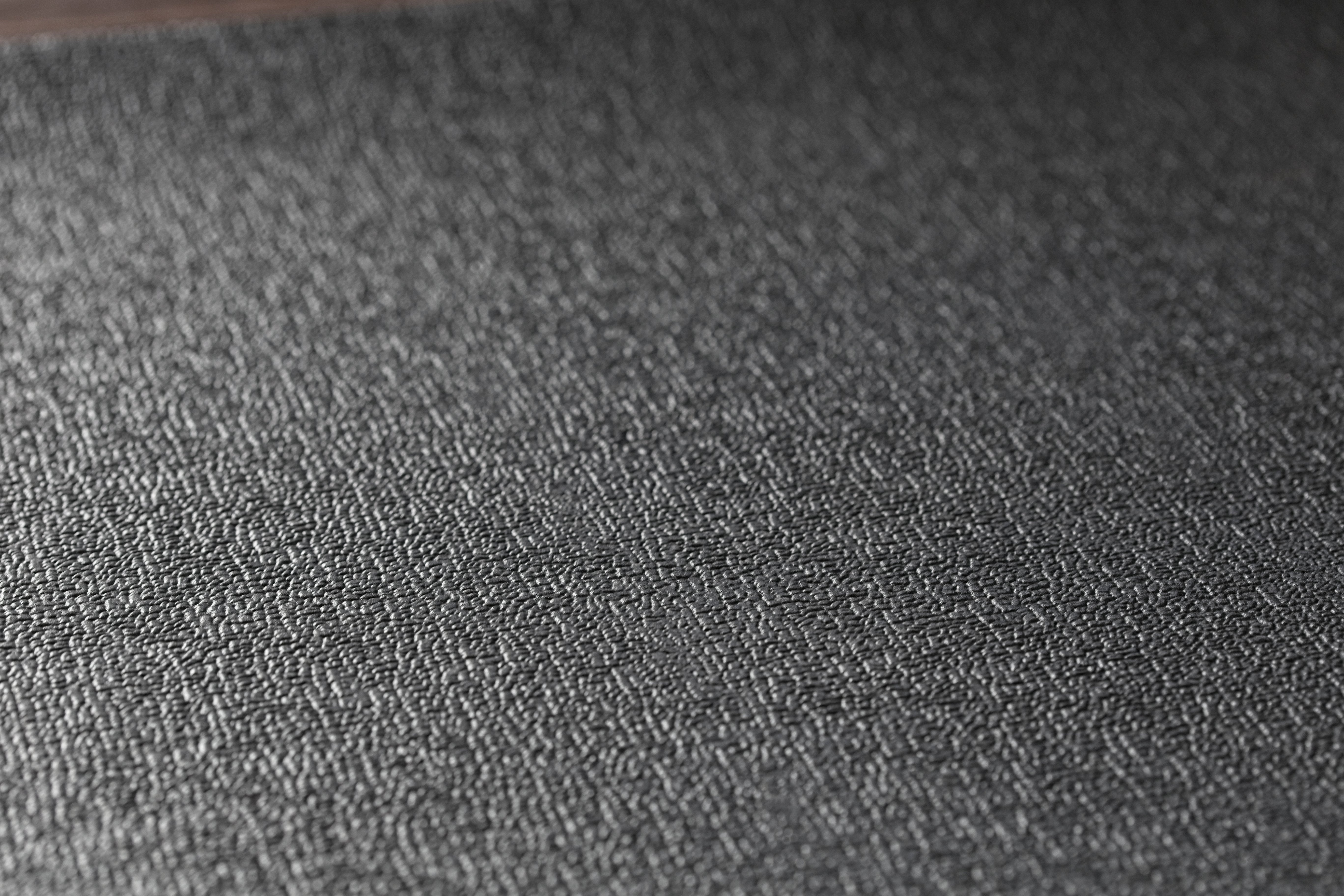 The Trainer Mat